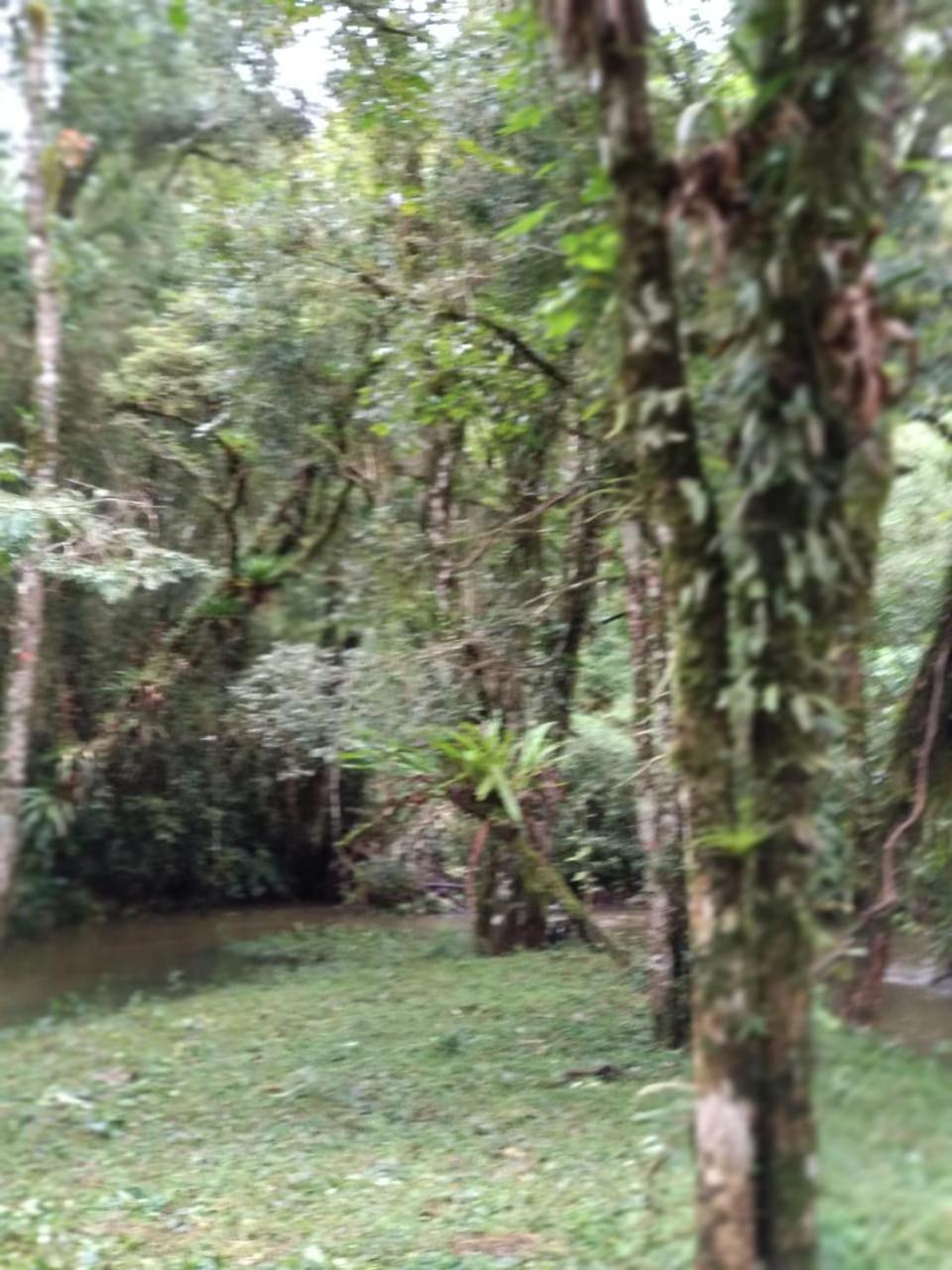 Casa Na Arvore - Chale Quemeninho Apiai