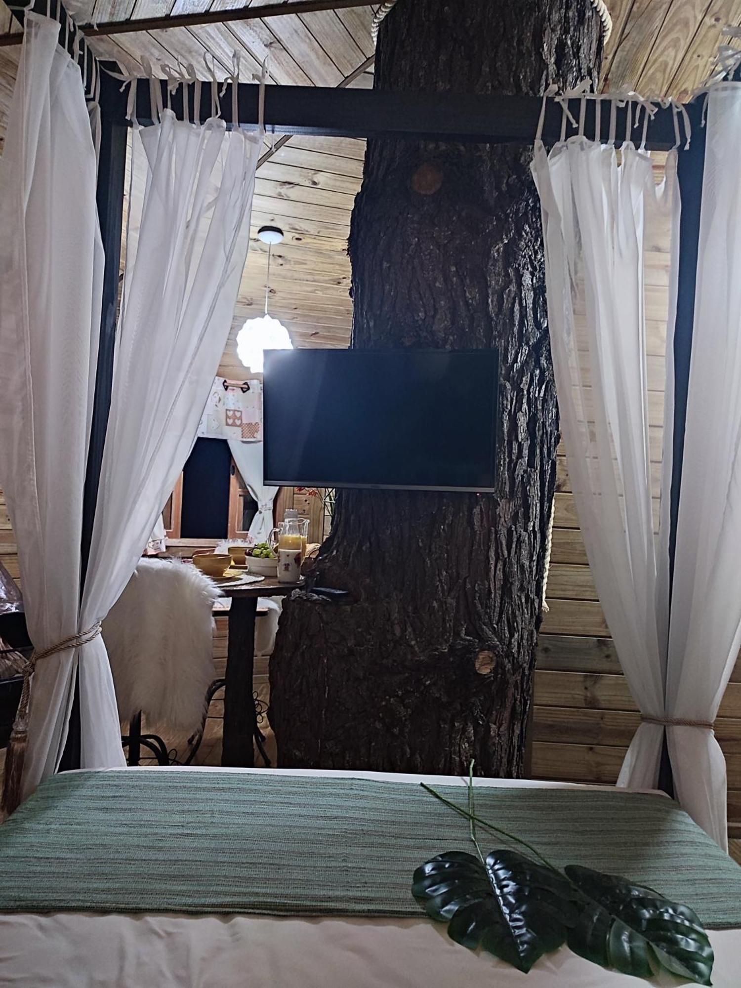 Luxury tent Casa Na Arvore - Chale Quemeninho