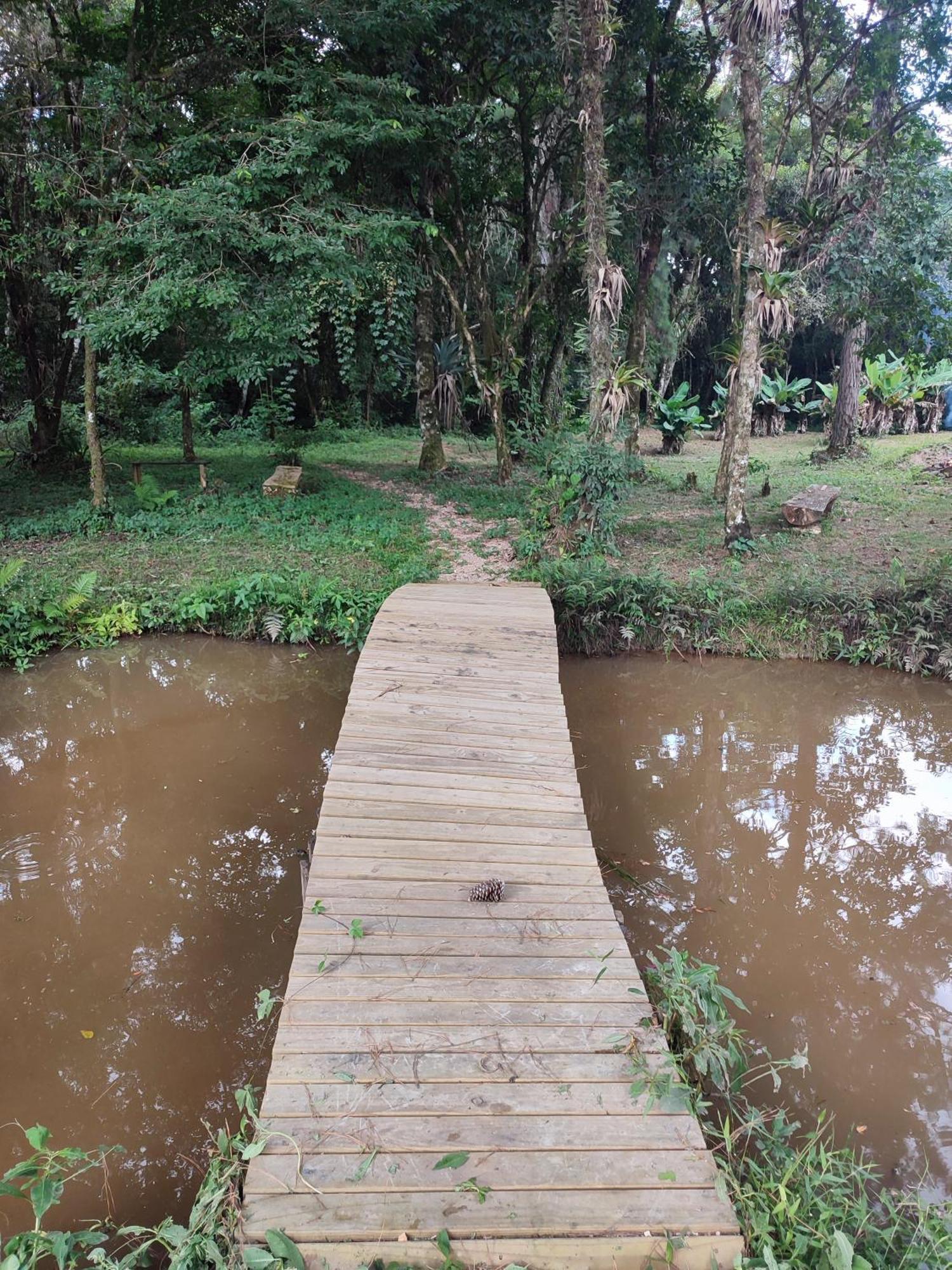 Casa Na Arvore - Chale Quemeninho Apiai